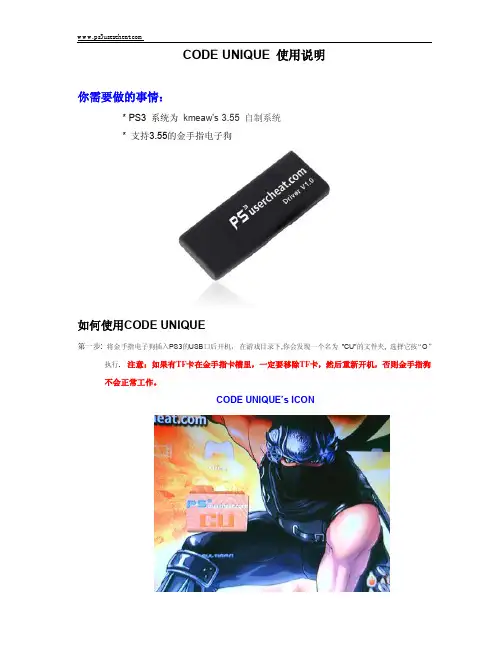 你需要做的事情： - wwwps3usercheatcom CODE UNIQUE 使用