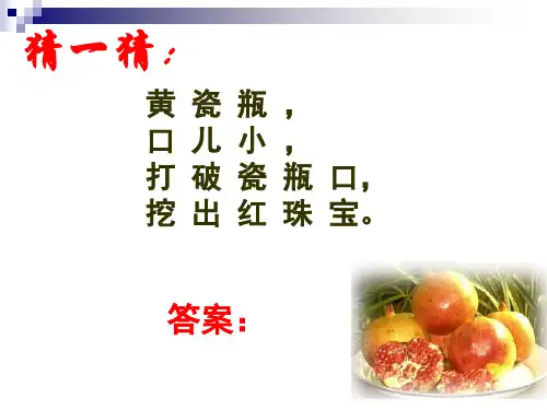 石榴  ppt课件完美版