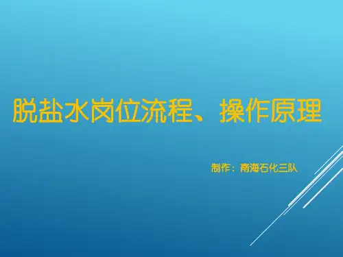 脱盐水岗位流程、操作原理