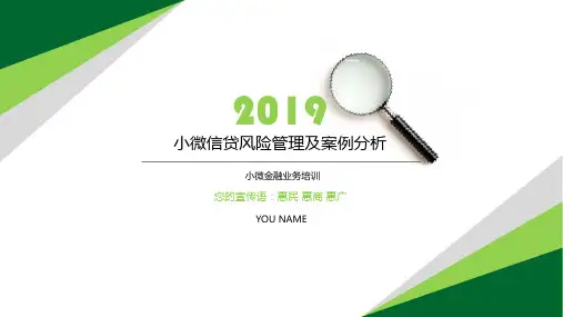 小微信贷风险管理及案例分析