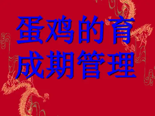 蛋鸡育成期管理(幻灯片)