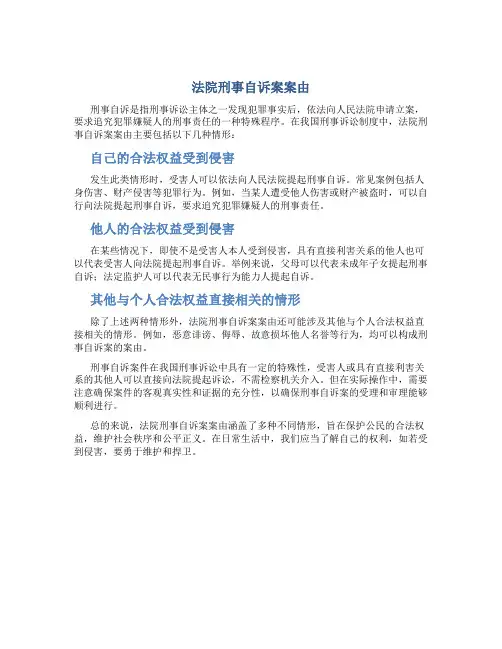 法院刑事自诉案案由