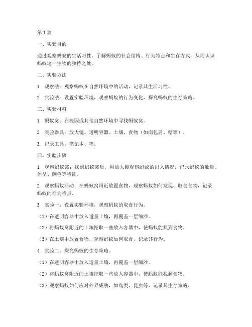 蚂蚁的生活实验报告(3篇)