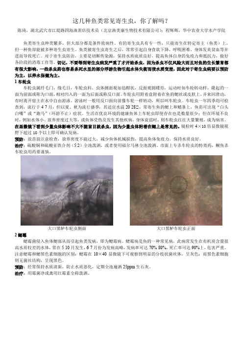 这几种鱼类常见寄生虫