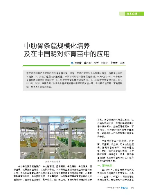 中肋骨条藻规模化培养及在中国明对虾育苗中的应用