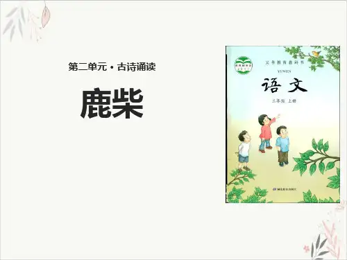 鹿柴ppt课件(完美版)
