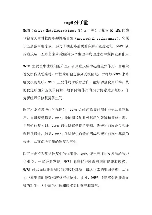 mmp8分子量