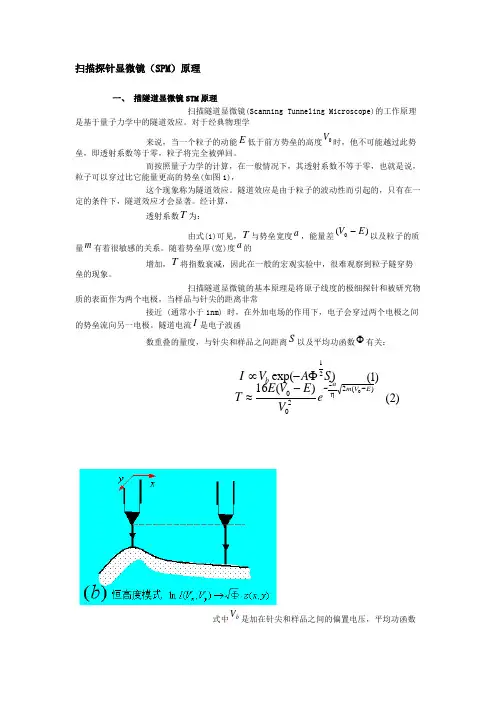 扫描探针显微镜