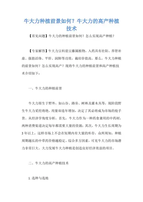 牛大力种植前景如何？牛大力的高产种植技术