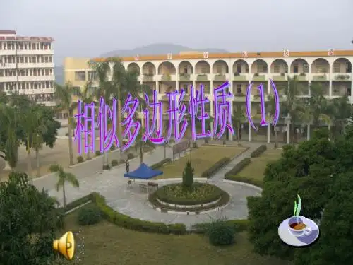 4.8相似多边形的性质课件