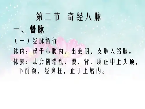 掌握督脉的经脉循行
