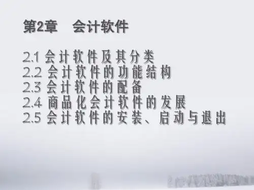 第2章 会计软件