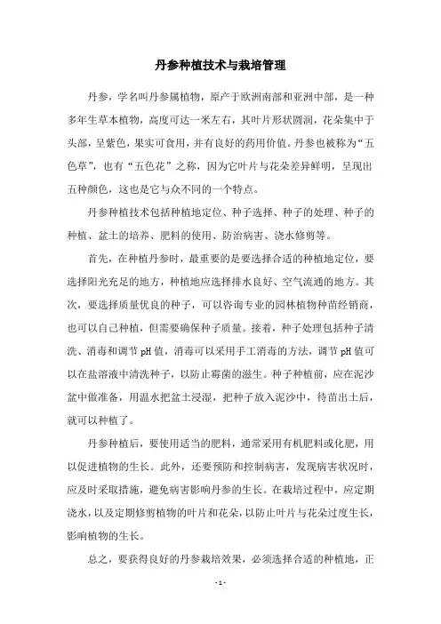丹参种植技术与栽培管理
