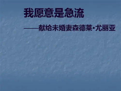 我愿意是急流ppt课件