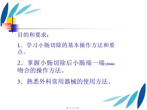 202X年外科手术学-肠切除端-端肠吻合术--