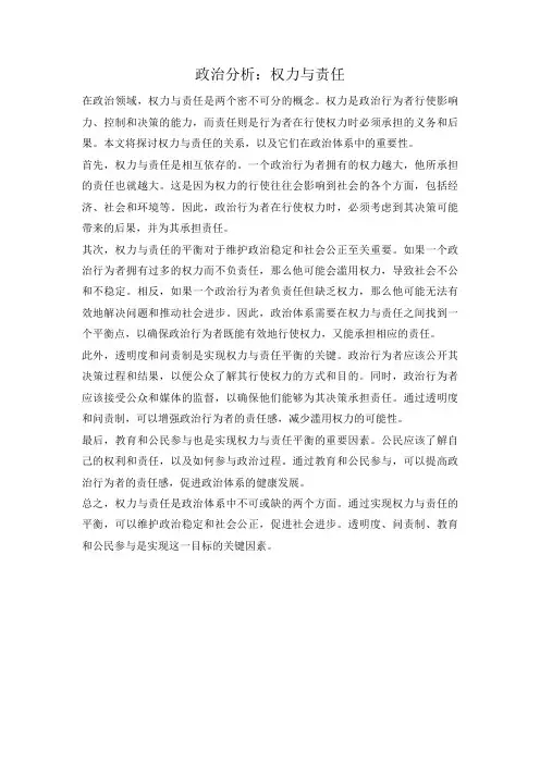 政治分析：权力与责任