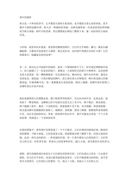 落叶的秘密