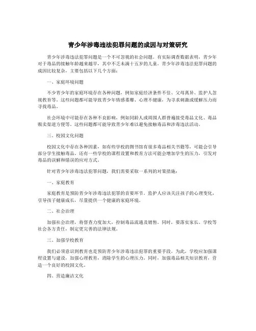 青少年涉毒违法犯罪问题的成因与对策研究