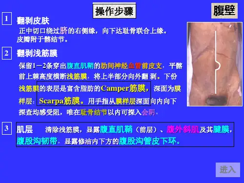 03局解操作-腹部