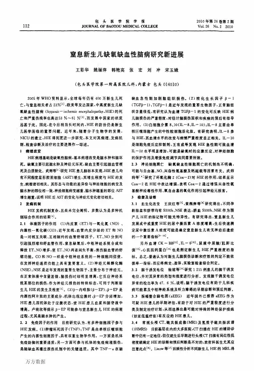 窒息新生儿缺氧缺血性脑病研究新进展
