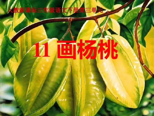 第11课画杨桃课件
