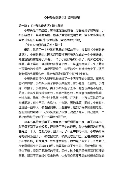 《小布头奇遇记》读书随笔