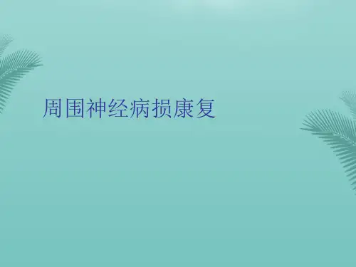 周围神经病损康复(精选优秀)PPT