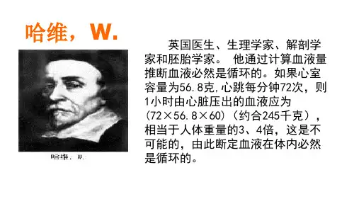 人体内物质的运输第4课时--血液循环课件-2024--2025学年苏科版生物八年级上册