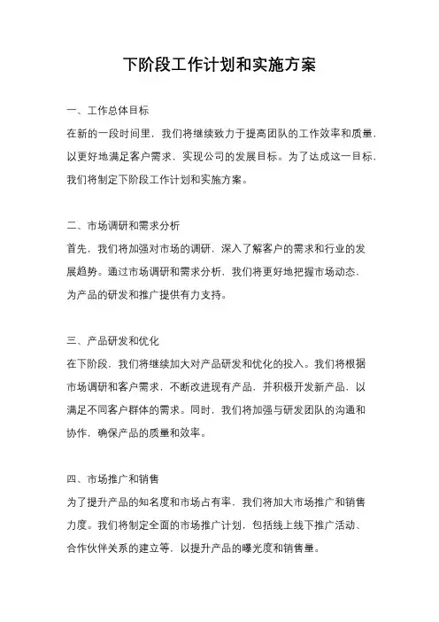 下阶段工作计划和实施方案