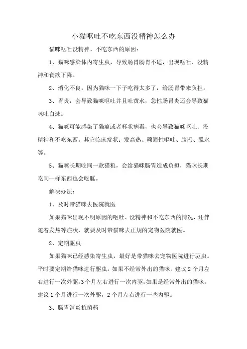 小猫呕吐不吃东西没精神怎么办
