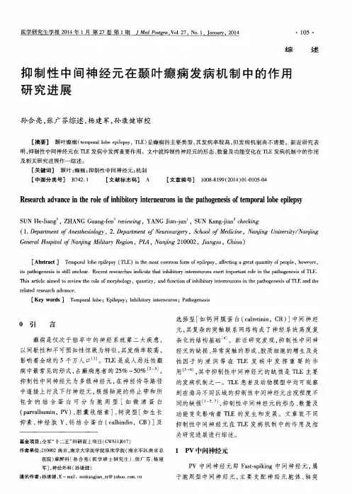 抑制性中间神经元在颞叶癫痫发病机制中的作用研究进展