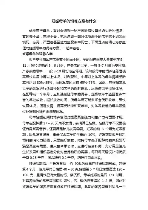 妊娠母羊的饲养方案有什么