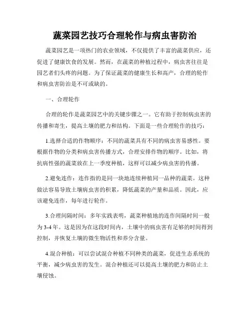 蔬菜园艺技巧合理轮作与病虫害防治