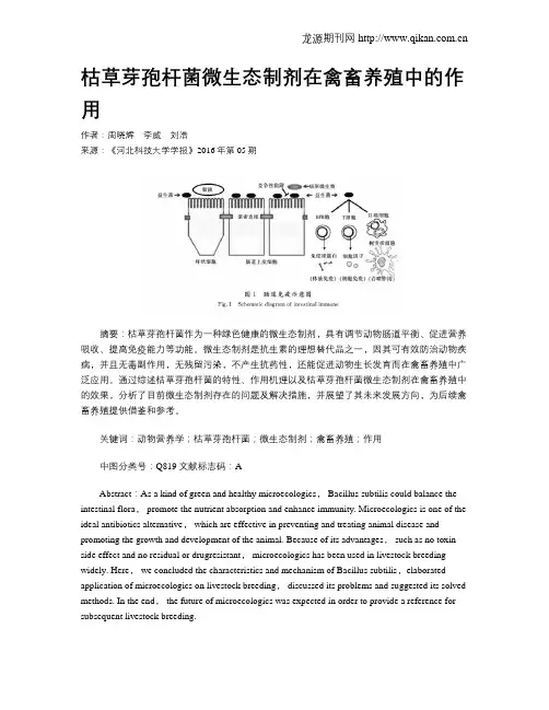 枯草芽孢杆菌微生态制剂在禽畜养殖中的作用