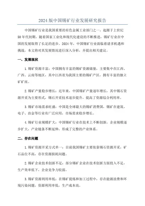 2024版中国锡矿行业发展研究报告