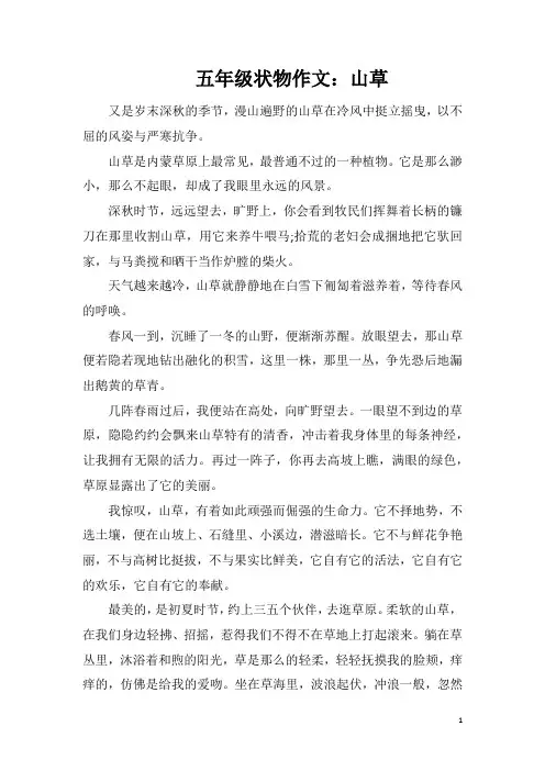 五年级状物作文：山草