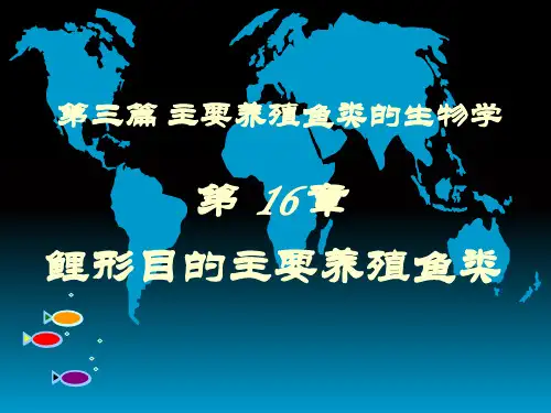 主要养殖鱼类的生物学PPT课件