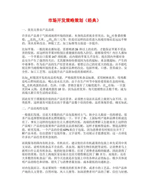 市场开发策略策划(经典)