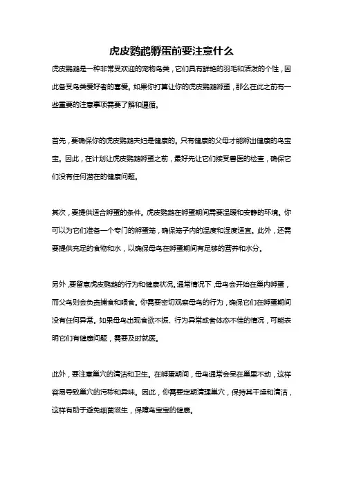虎皮鹦鹉孵蛋前要注意什么