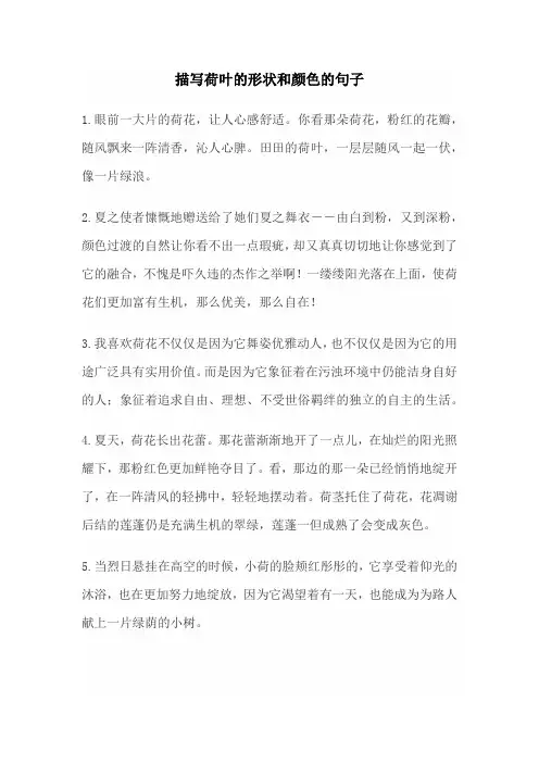 描写荷叶的形状和颜色的句子