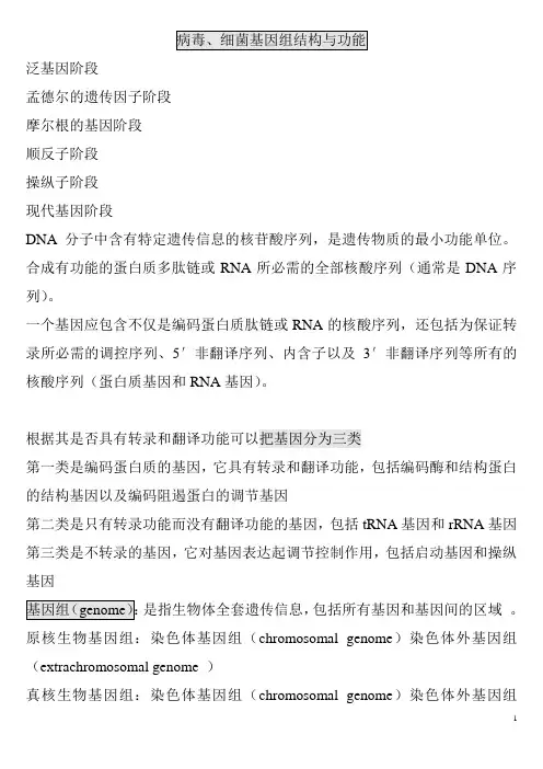 病毒、细菌基因组结构与功能
