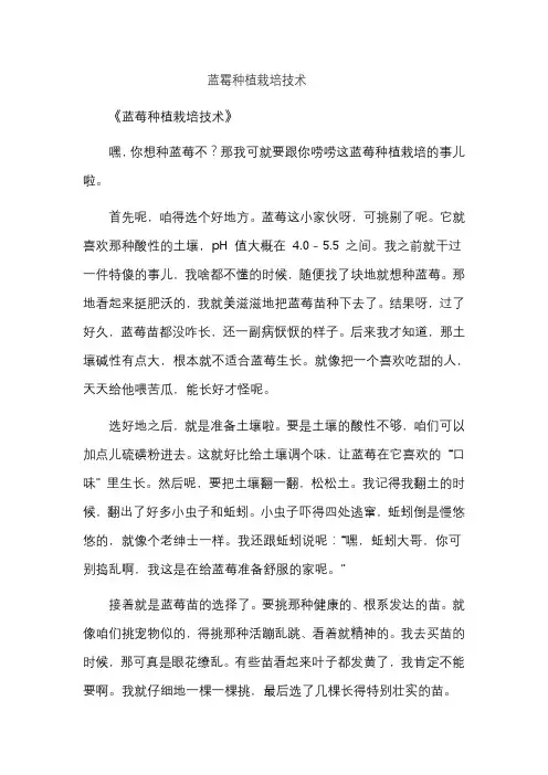 蓝霉种植栽培技术