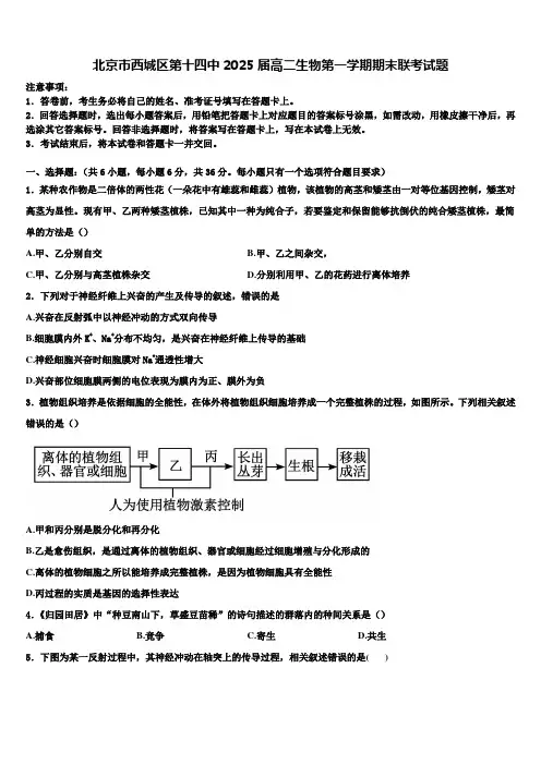 北京市西城区第十四中2025届高二生物第一学期期末联考试题含解析