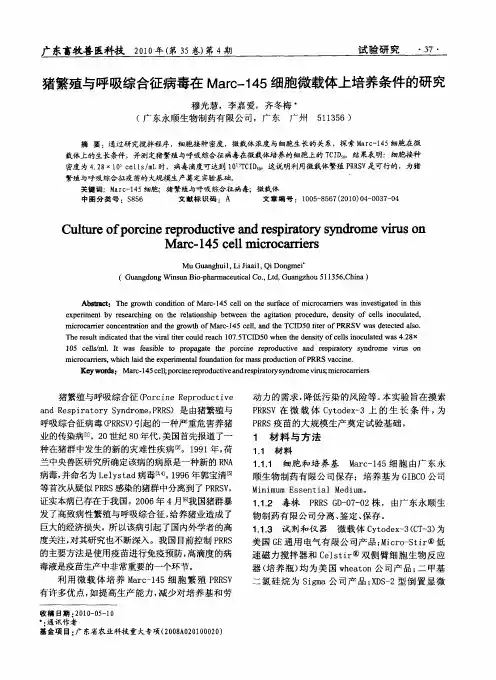 猪繁殖与呼吸综合征病毒在Marc-145细胞微载体上培养条件的研究