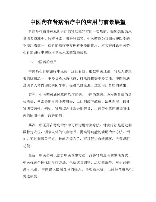 中医药在肾病治疗中的应用与前景展望