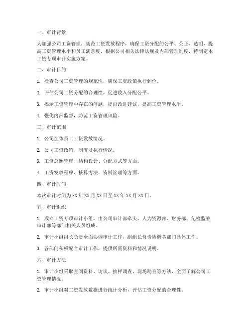 工资专项审计实施方案
