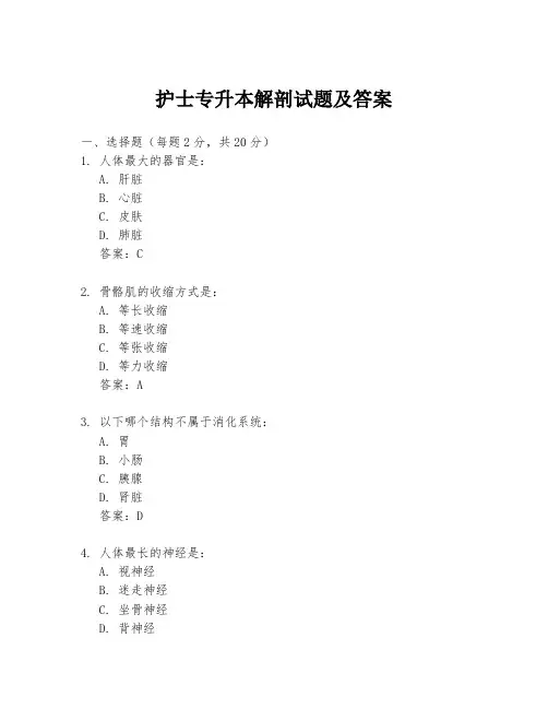 护士专升本解剖试题及答案