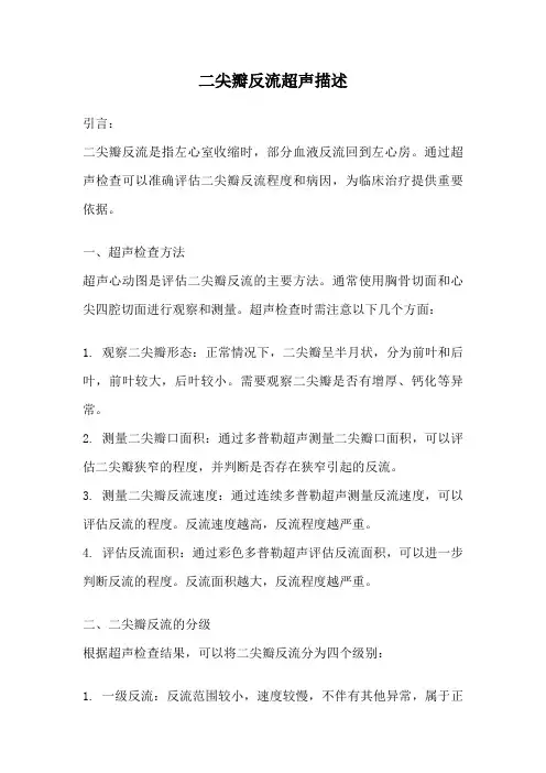 二尖瓣反流超声描述