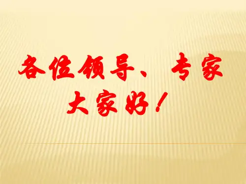 找堵水工艺完善与应用