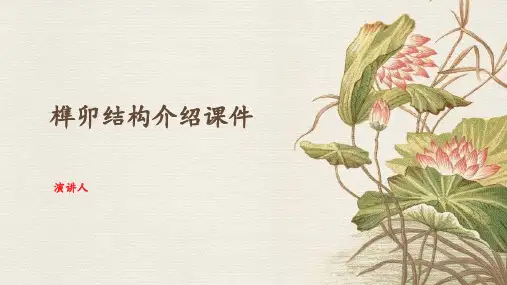 榫卯结构介绍课件